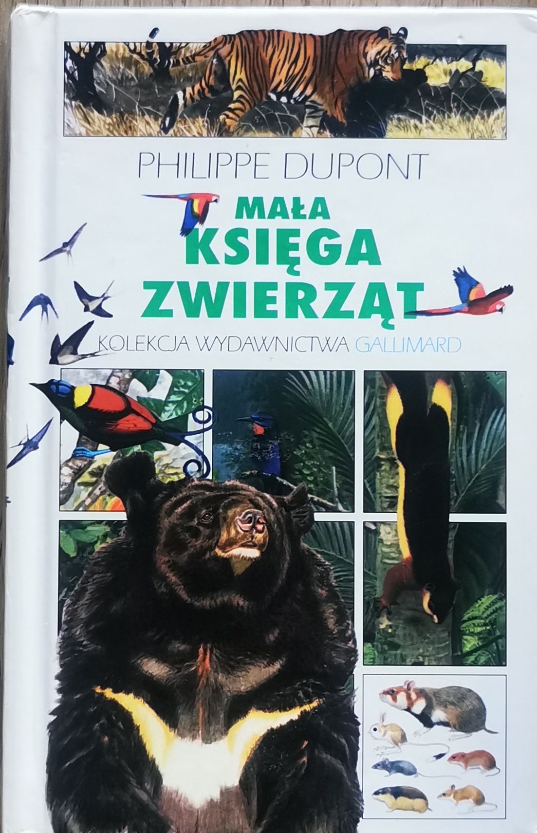 Mała Księga Zwierząt Philippe Dupont