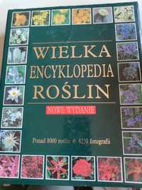 Wielka encyklopedia roślin. Poradnik projektanta i