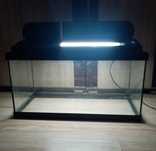 Akwarium Aquastar 54L z oświetleniem