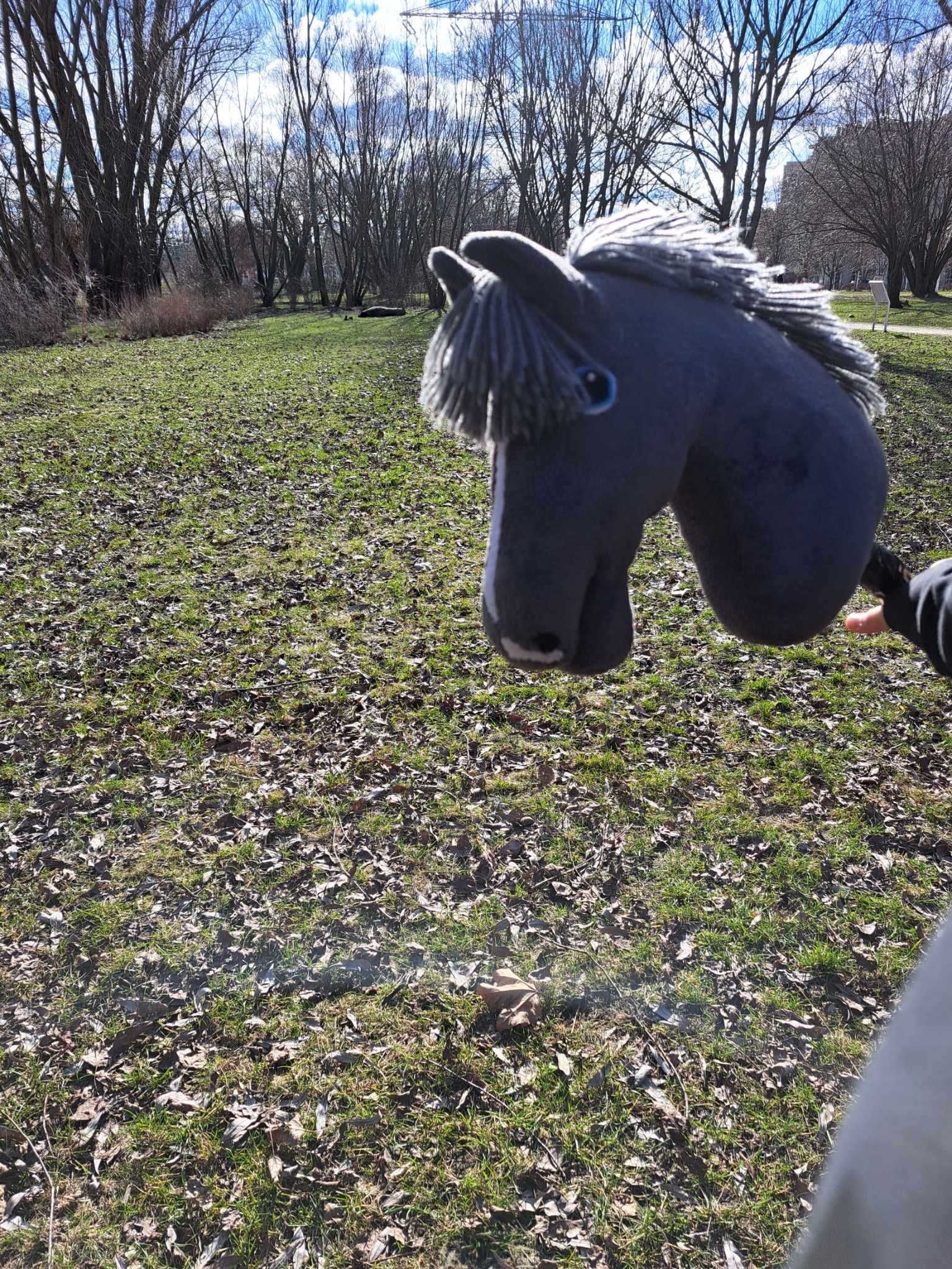 hobby horse dodaje dużo sprzętu