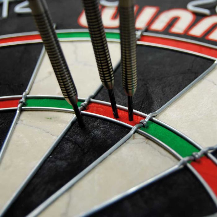 Tarcza do darta Winmau PRO SFB