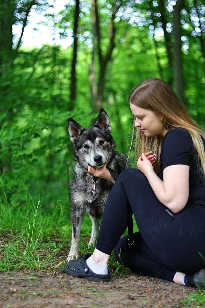 ASTRID - 1,5-roczna, 18kg, łagodna, radosna, kocha psy
