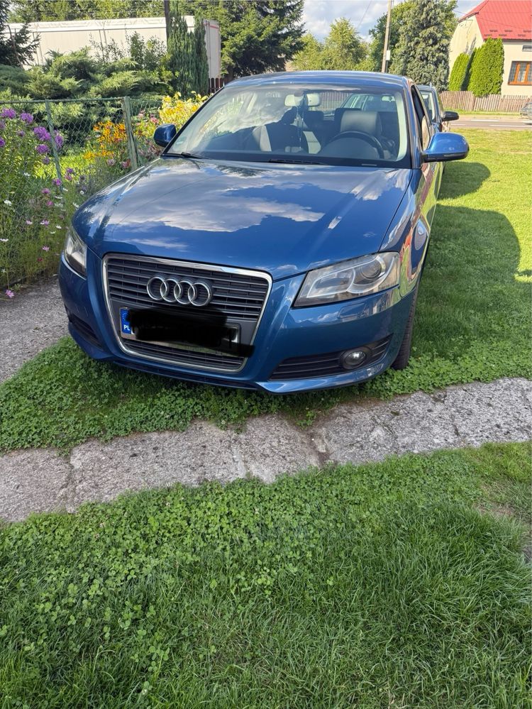 Audi A38P 2009 1,6TDI 105 km.