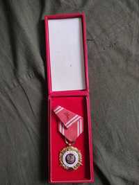 Złoty medal za 20 lat służby „Siły zbrojne w służbie ojczyzny”