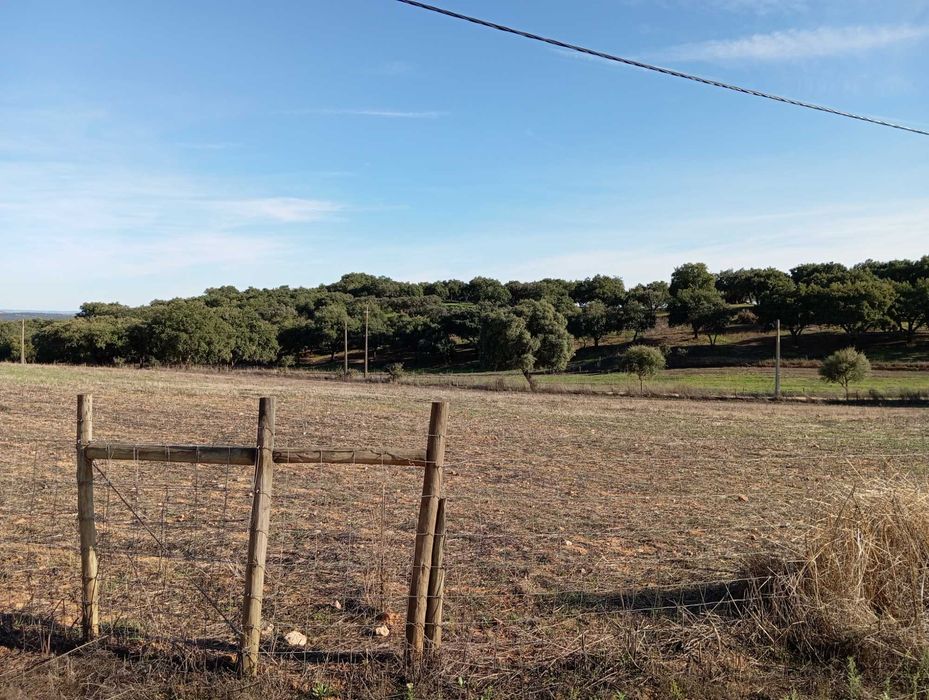 Terreno a 10 km de Estremoz