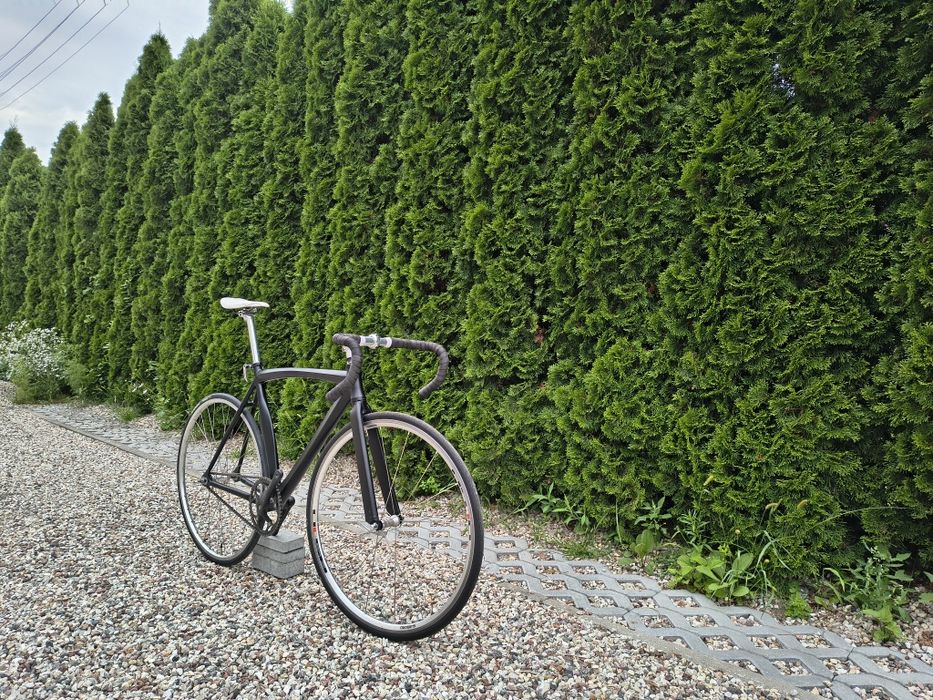Rower torowy, ostre koło, single speed