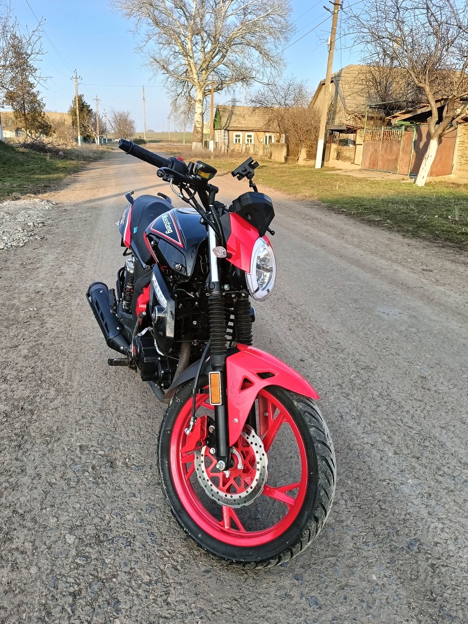 Мустанг 250  EKSTRIT