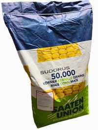 Kukurydza SUDORUS NASIONA kukurydzy FAO 230