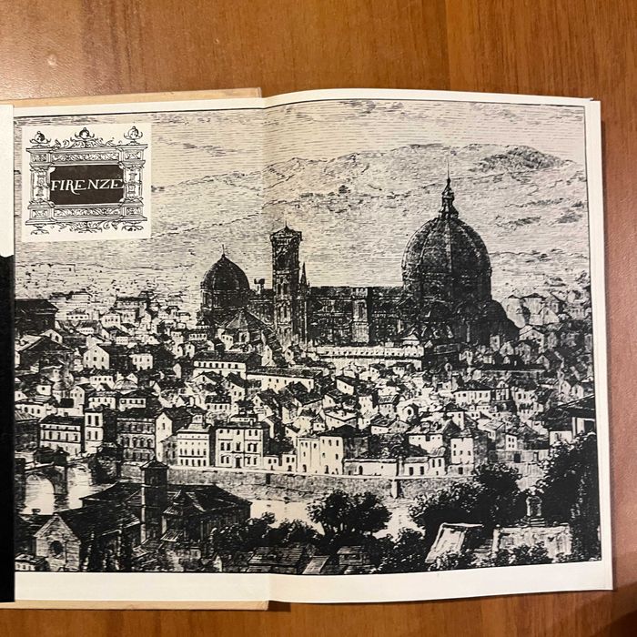 Wielka przygoda Michała Anioła ; Irving Stone