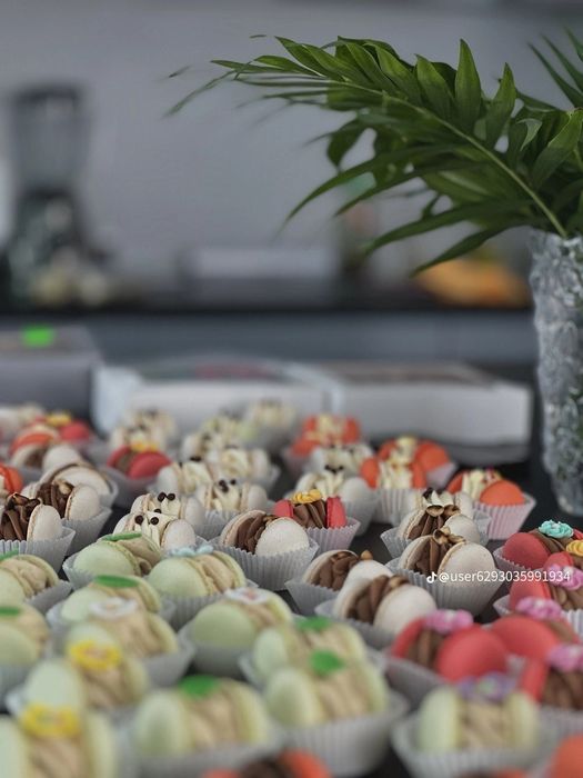 Макаронс у Житомирі: Солодкий Шедевр! Макаруни