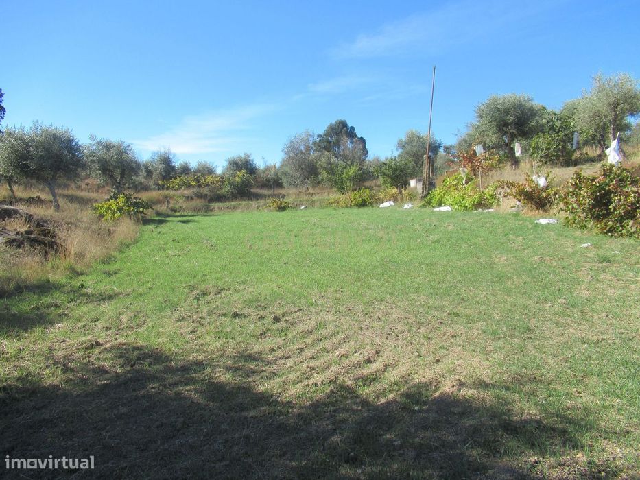 Terreno Rústico | Lousa, Castelo Branco