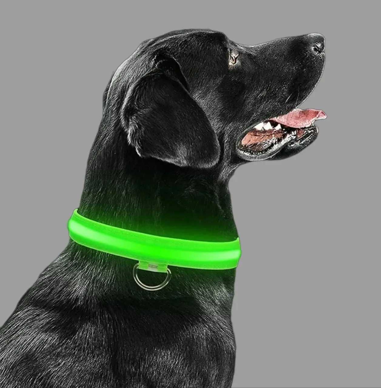 Светящийся LED ошейник,  для животных собак размер  М 40см
