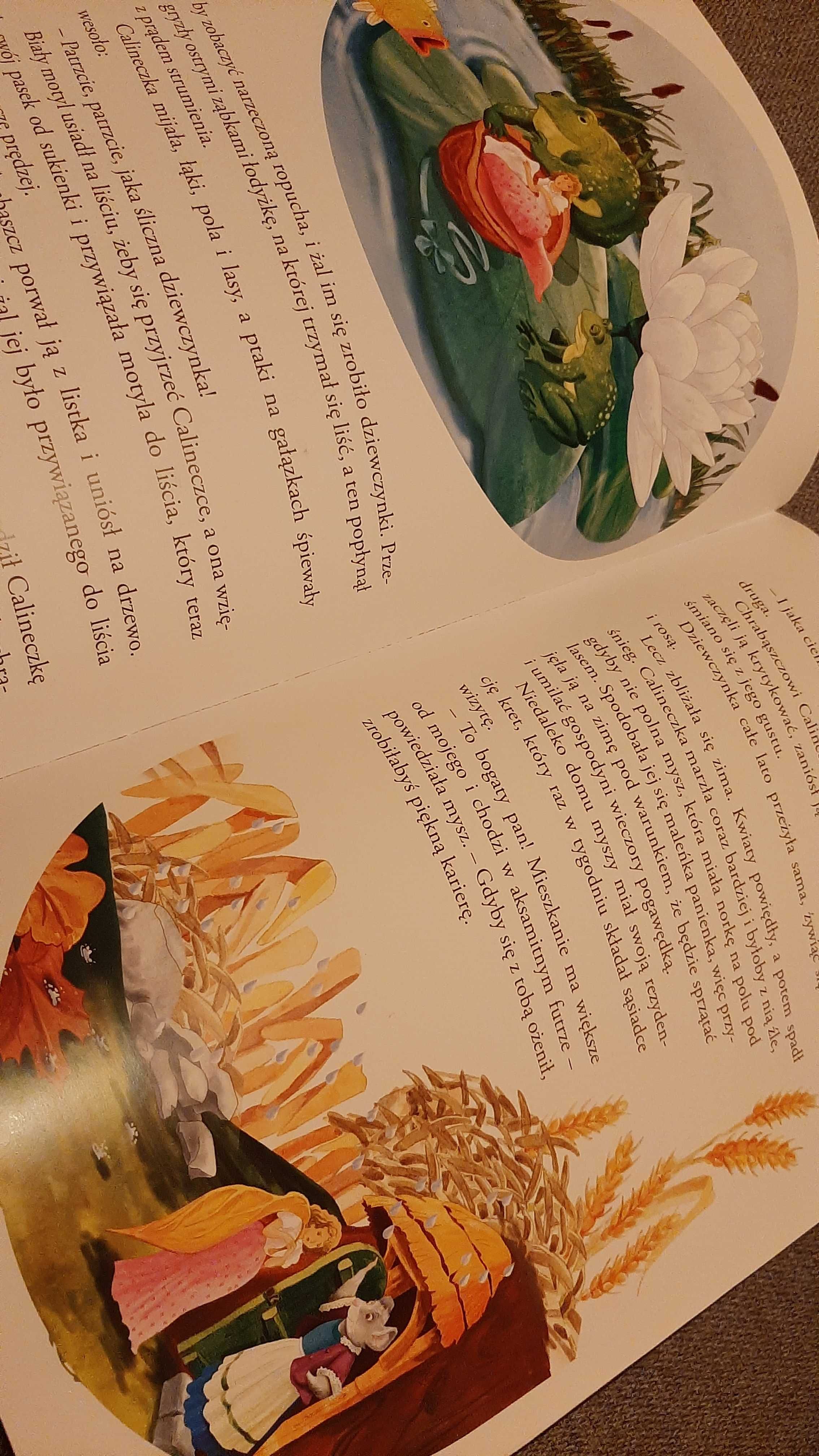Kryształowa kula Baśnie Andersena Braci Grimm Charles Perrault