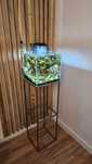 Akwarium/Krewetkarium 30x30x30