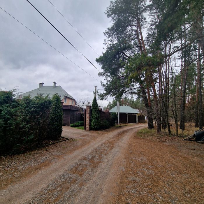 Казковий будинок біля лісу. с.Горенка