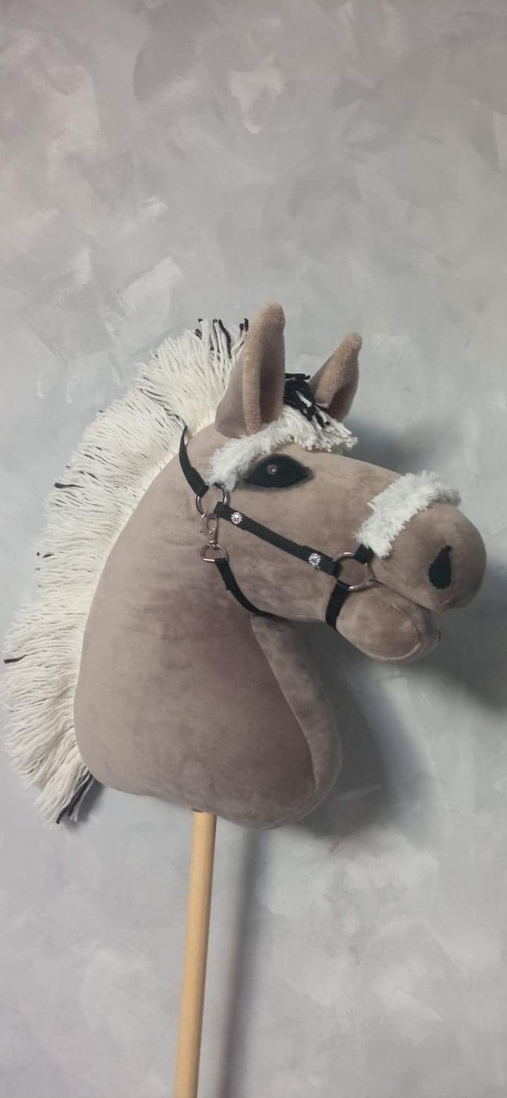 Hobby  Horse _A4 -