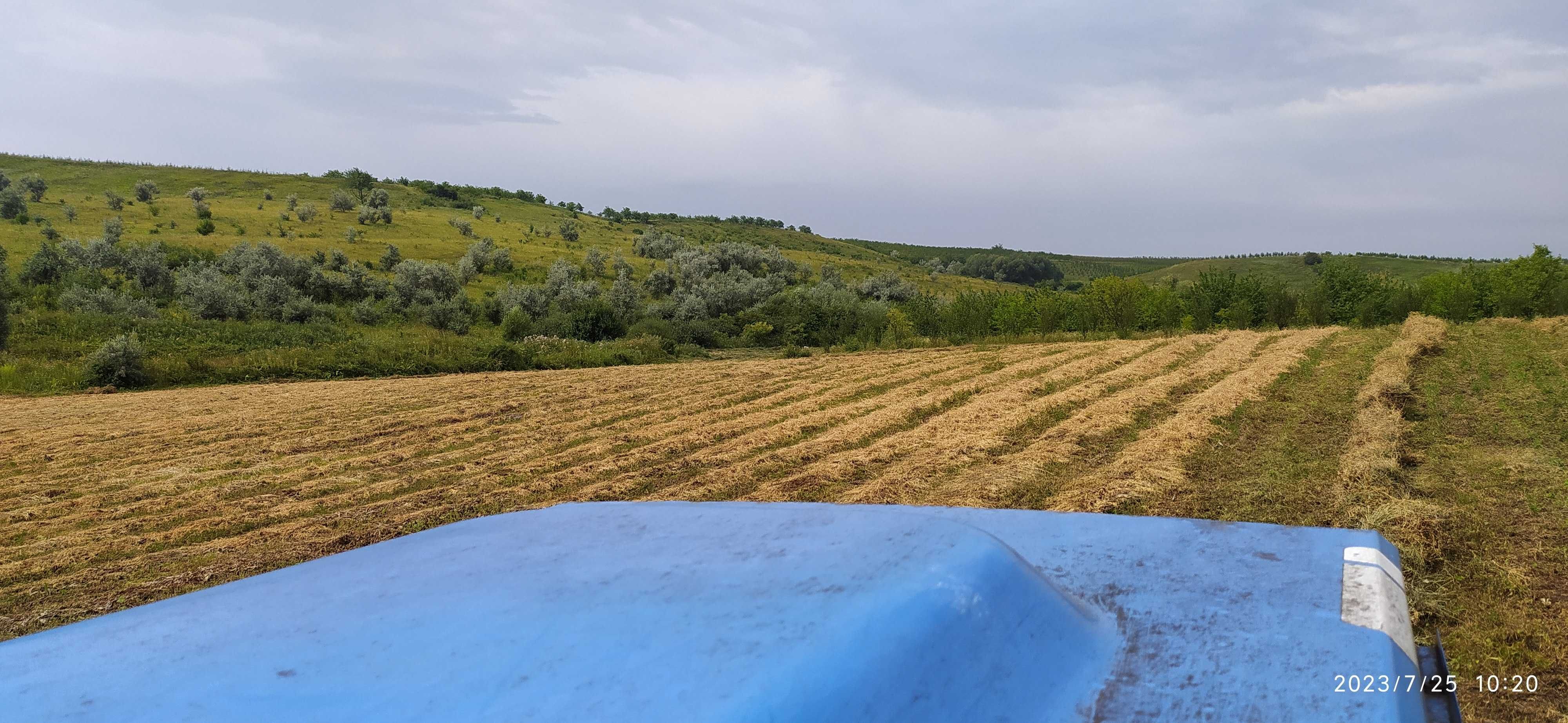 Сіно люцерна, у великих тюках. Доставка, свіже.