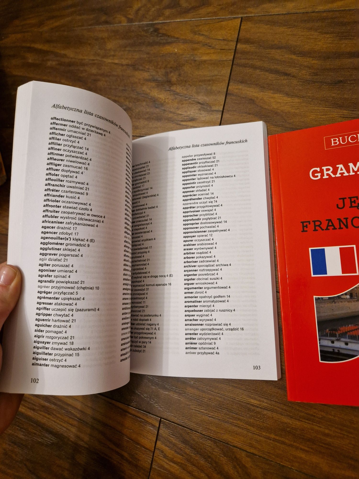 Czasowniki i gramatyka język francuski