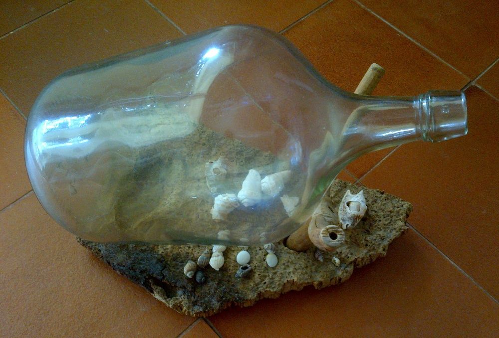 Aquário Garrafão + Cortiça Peixes pequenos