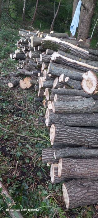 Drewno opałowe wierzba metry
