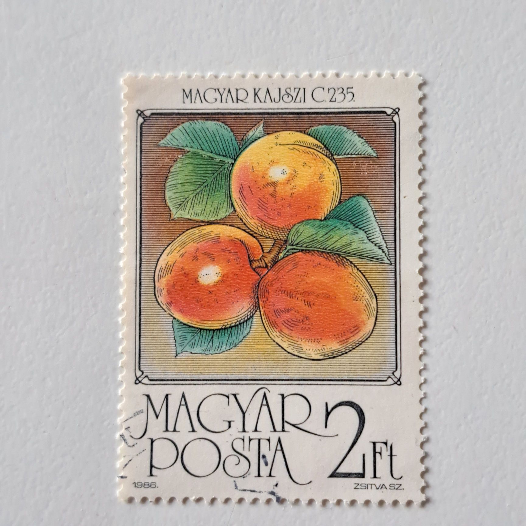 5 węgierskich znaczków pocztowych z motywami owoców (Magyar Posta).