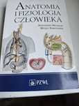 Anatomia i fizjologia człowieka - Michajlik Aleksander, Ramotowski Wit