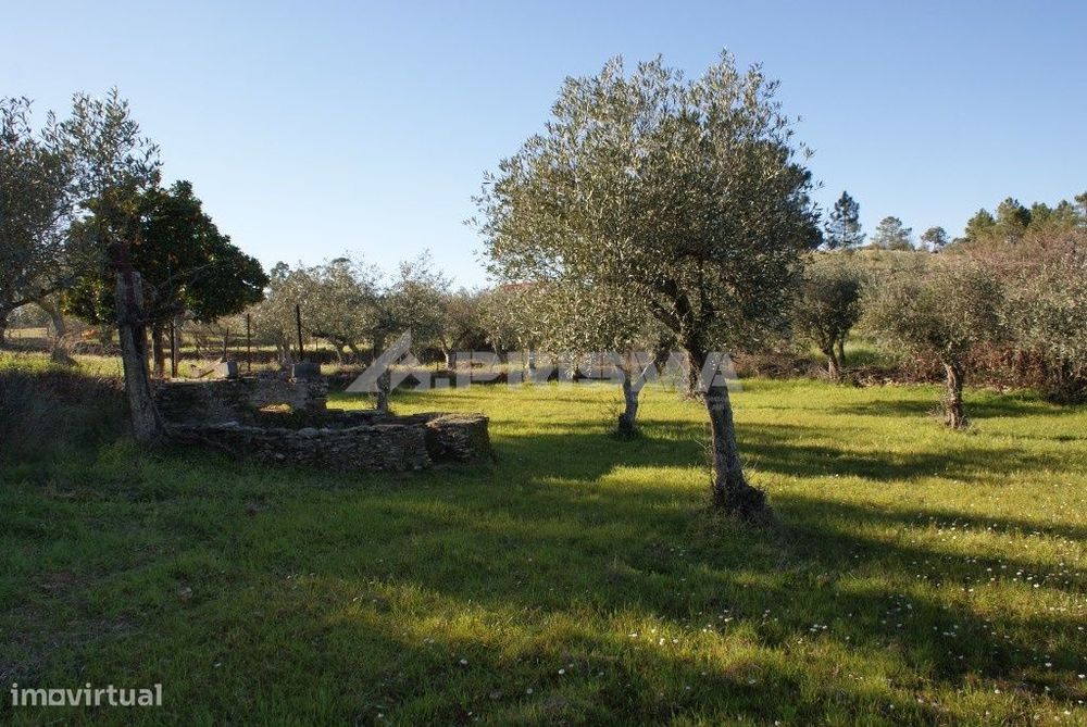Terreno tipo horta para venda