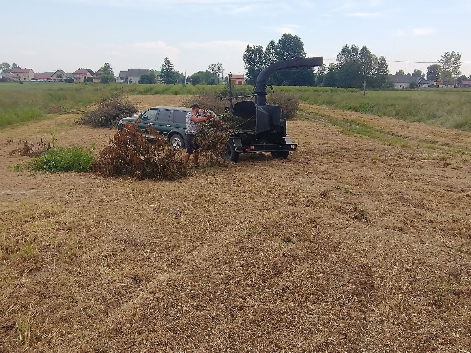 Czyszczenie działek wycinka  zarośli koszenie nieużytków,usługi rębak
