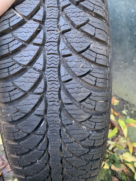 Fulda montero cristal 3