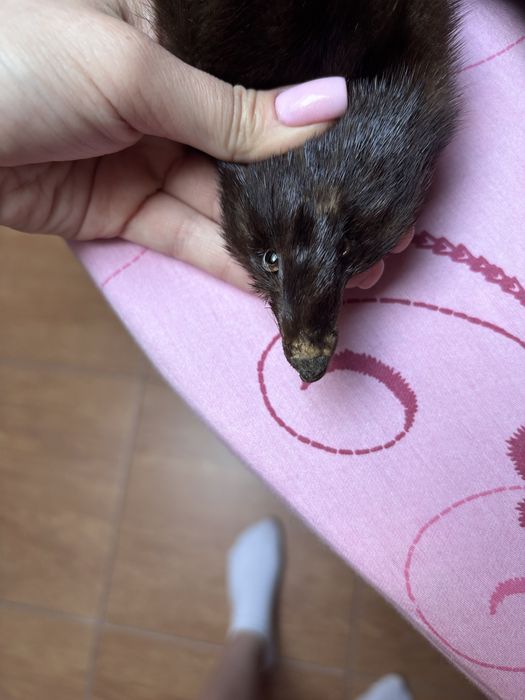 Хутряний виріб. Натуральне хутро