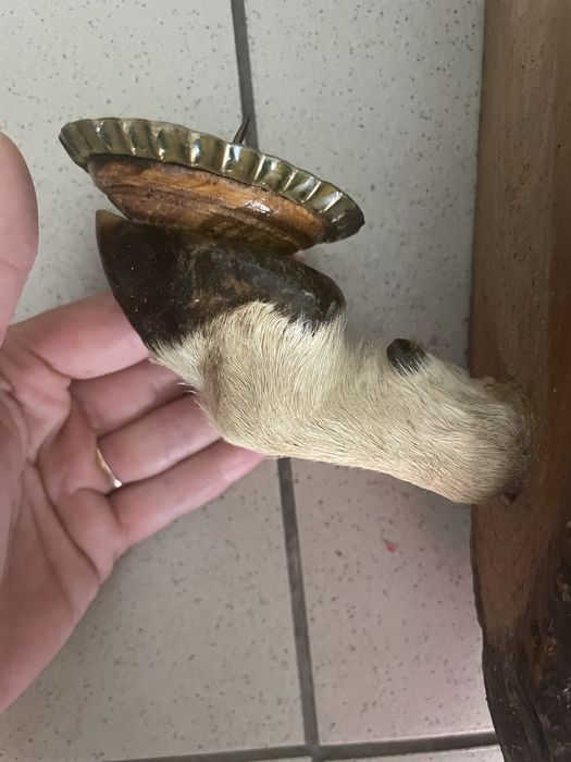 Підсвічники з копит тварин.