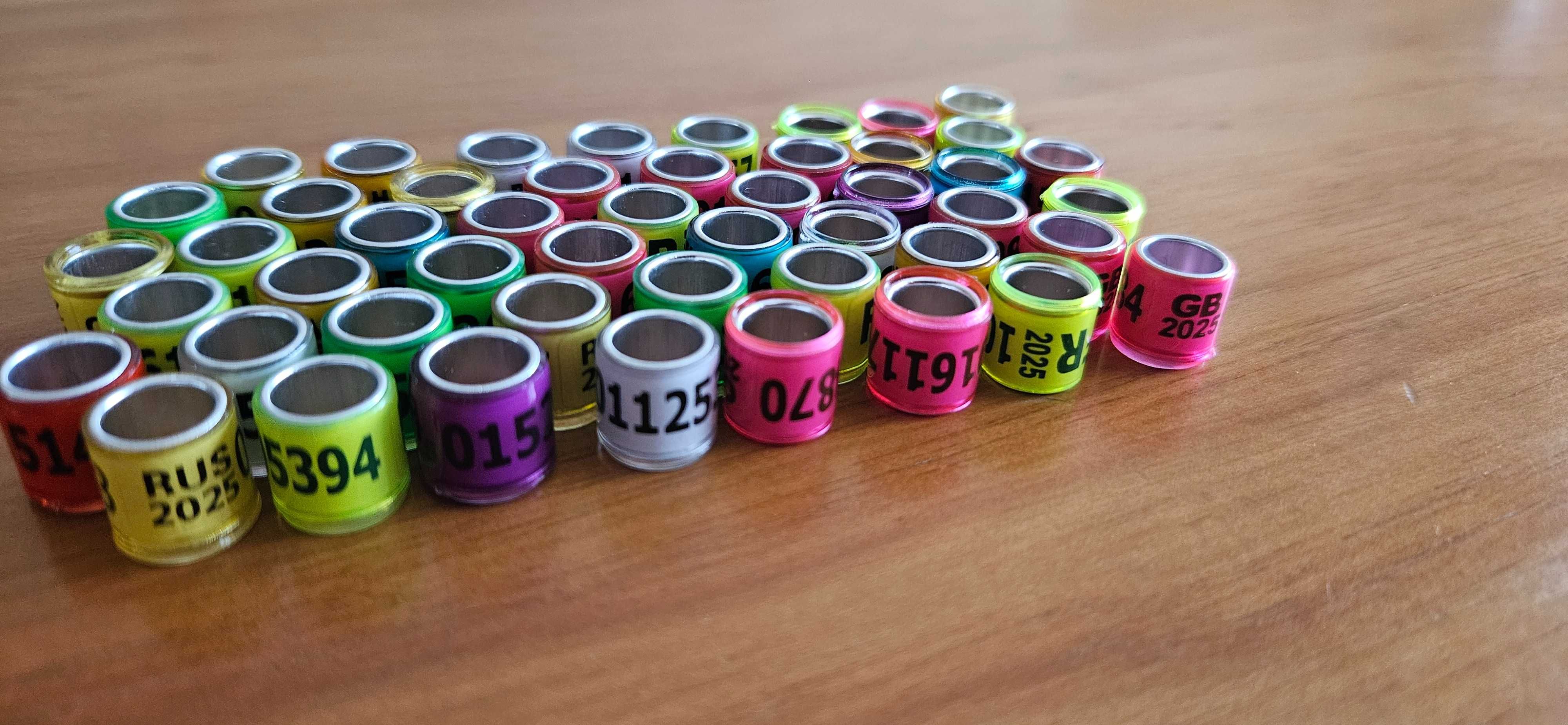 50 anilhas para Pombos 2025 - cores mistas
