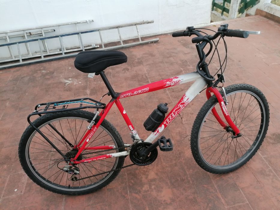 Bicicleta com apoio traseiro para carga