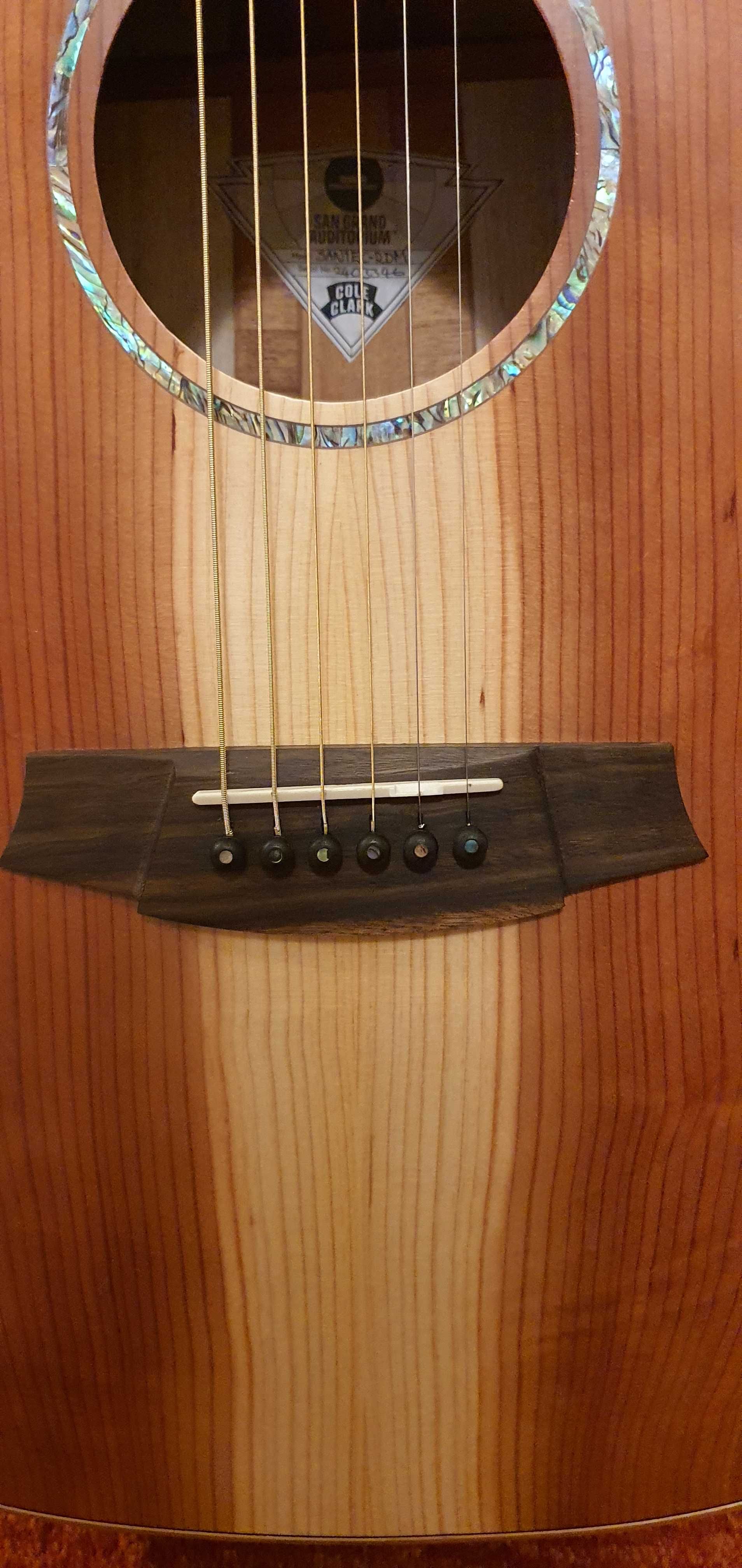 Gitara elektro-akustyczna Cole Clark
