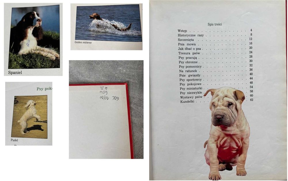 Psy Dziecięca Biblioteka Przyrody Album ilustrowany