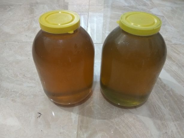 Продам свежий мед со своей пасеки