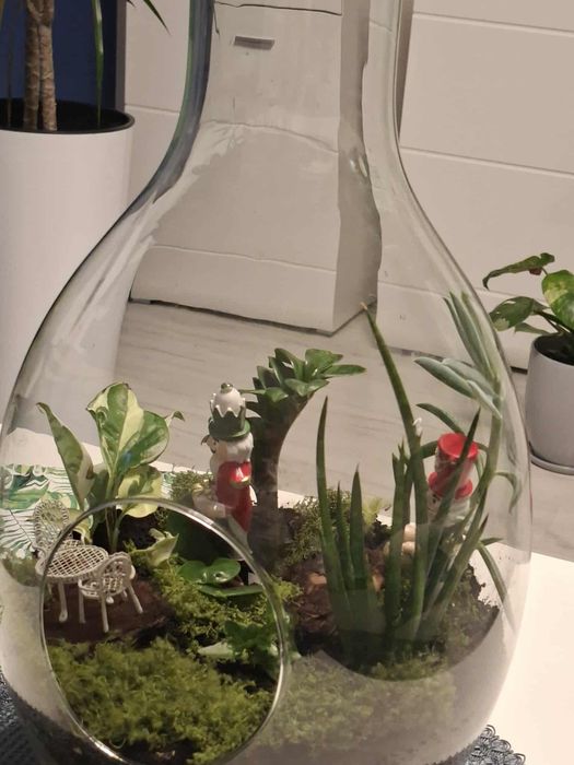 świąteczny las w słoiku