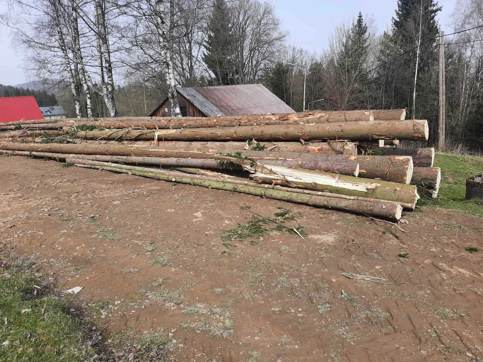 Sprzedam drewno świeże tartaczne, świerk dłużyca