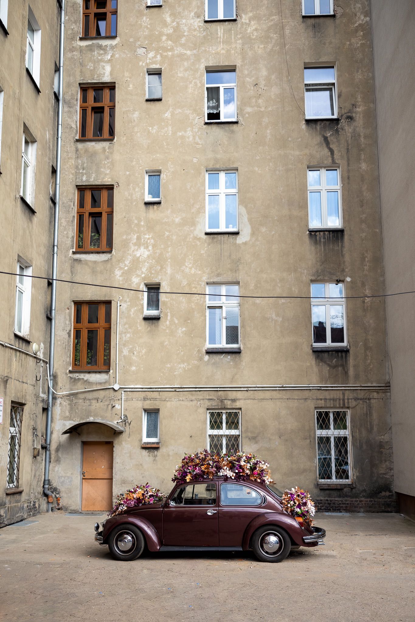 Garbus Auto  do ślubu, sesji wynajęcia