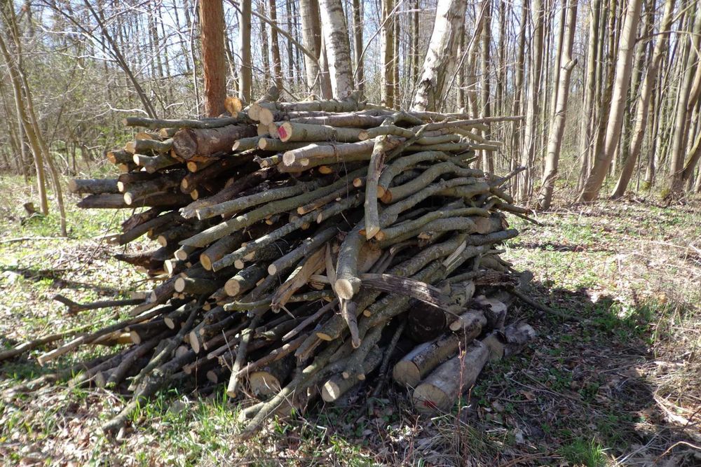 Drewno opałowe gałęziówka Liściaste osika suche