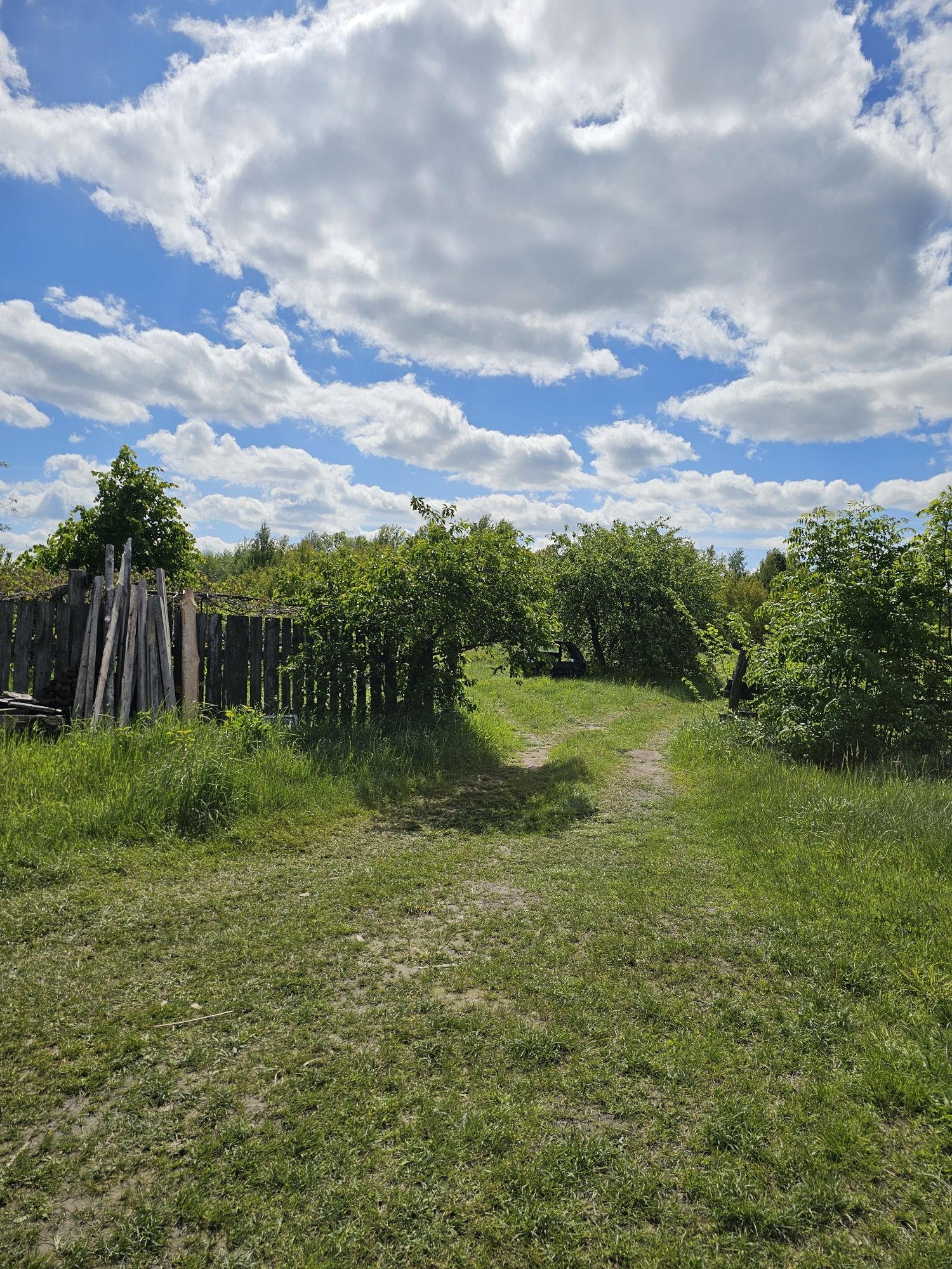 Земельна ділянка