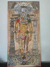 Anatomia occultus