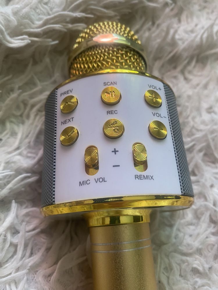 Беспроводной микрофон с колонкой WS-858