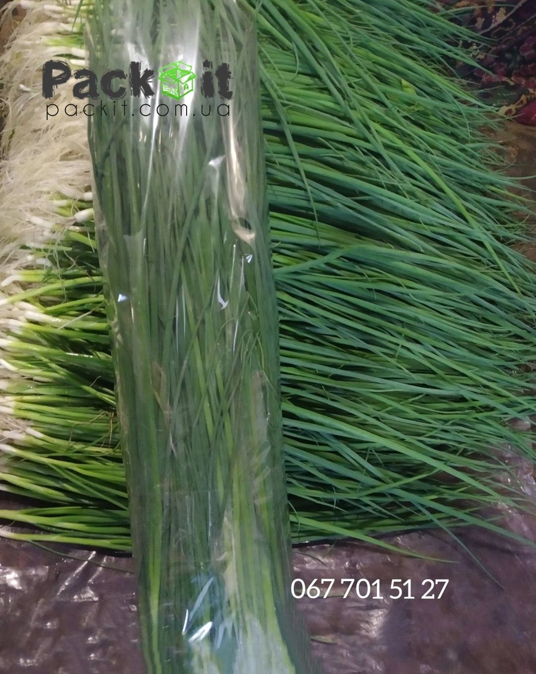 Плівка пакувальна для зелені, зеленої цибулі, листя салати, петрушки,