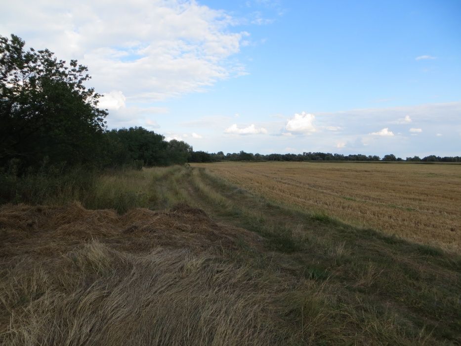 земельна ділянка 10600 м2. район нижньосульского заповідника .