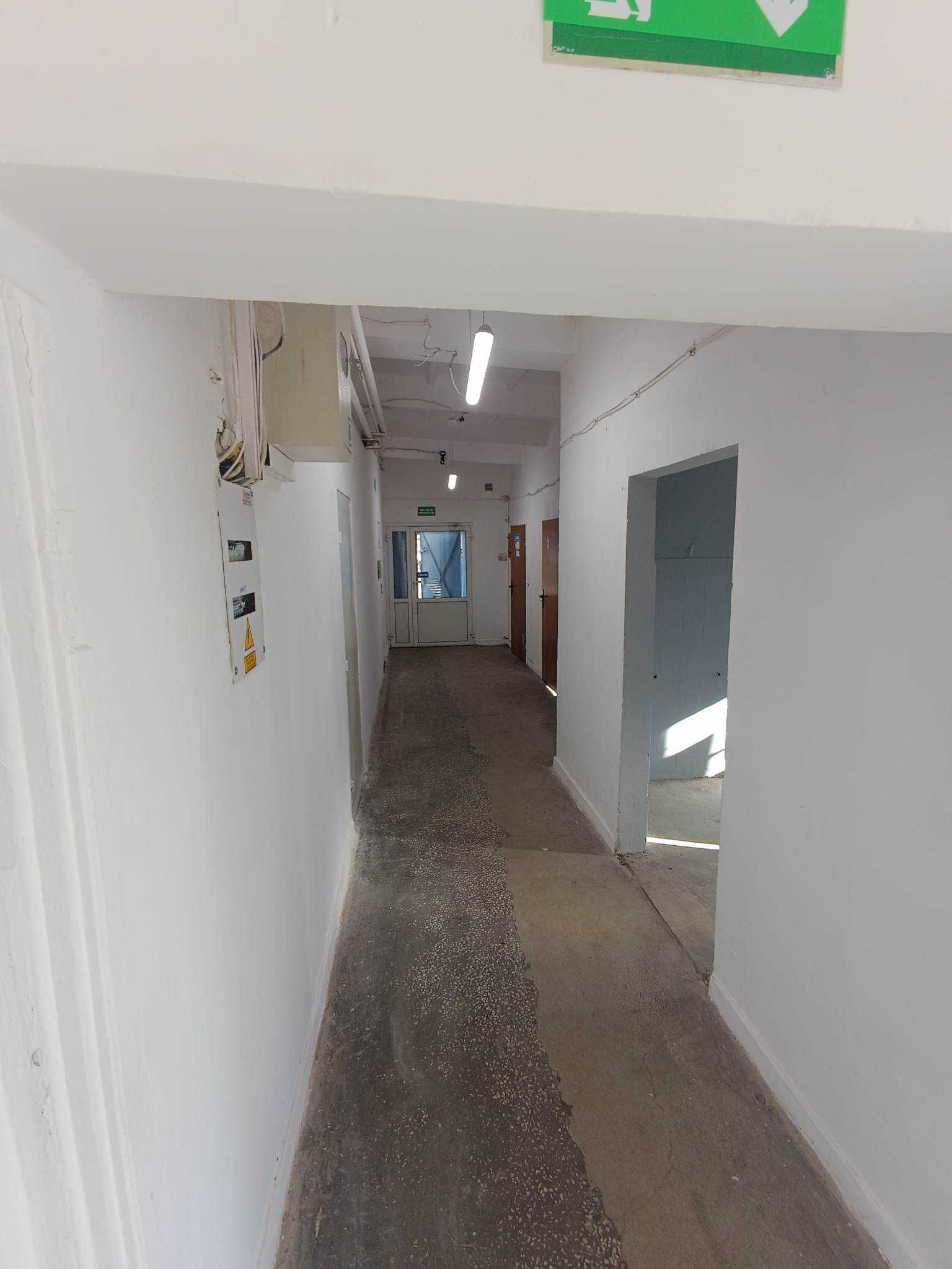 Lokal do wynajęcia 131 m2
