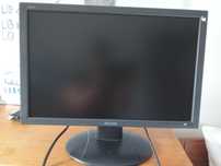 Monitor Philips 75hz