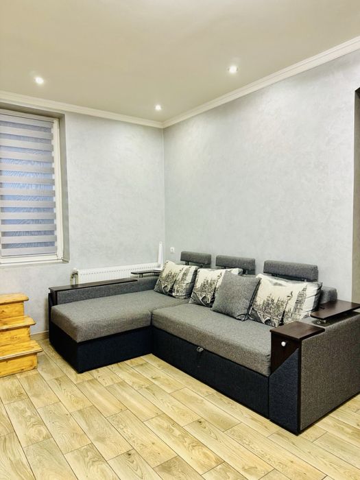 Енергозберігаючий будинок в Ужгороді з доходом 1000$ в місяць