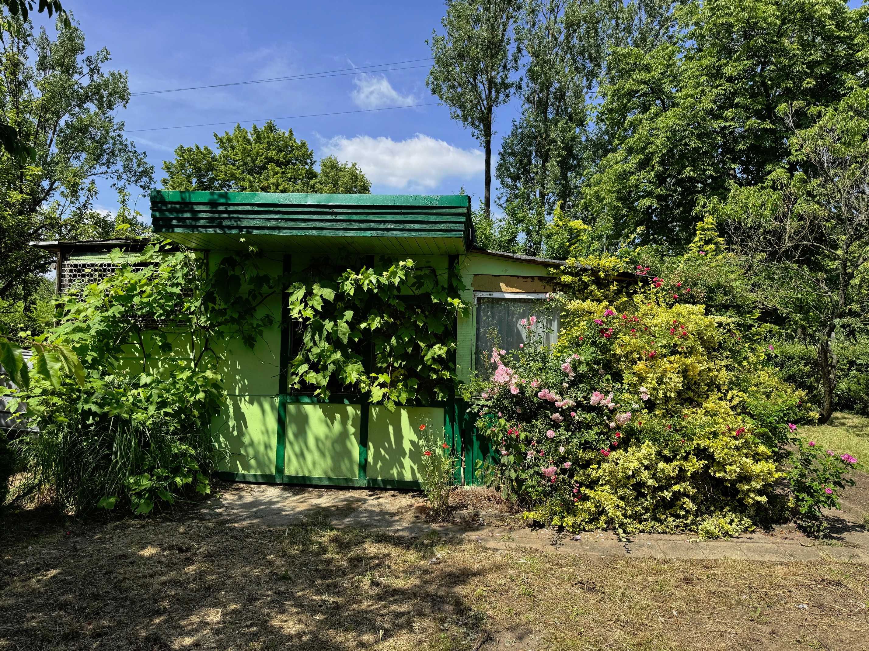 Sprzedam prawo do użytkowania działki ROD