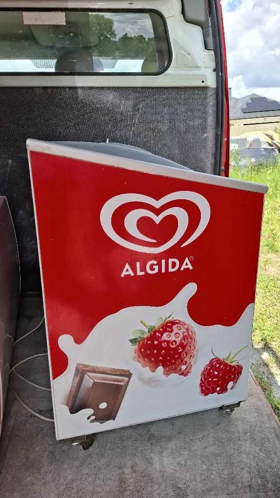 Zamrażarka skrzyniowa Algida